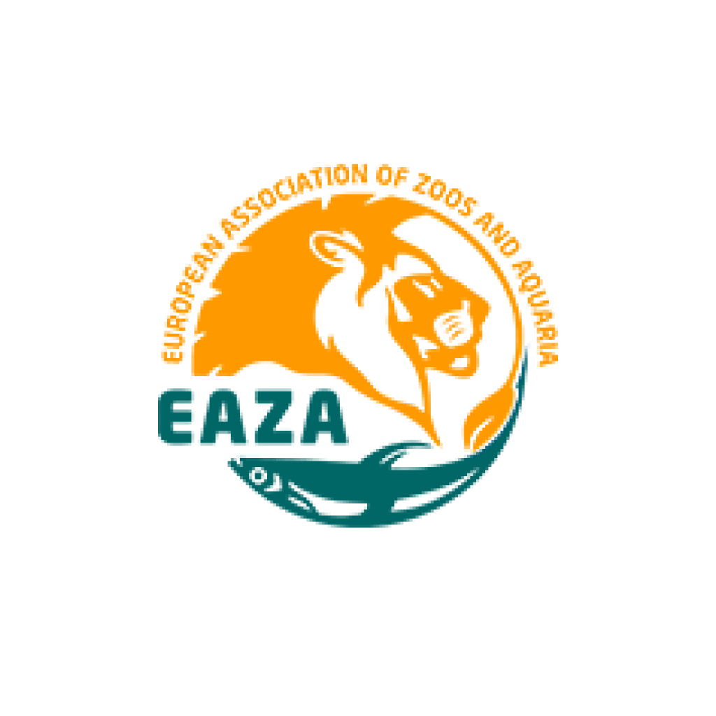 logo_eaza